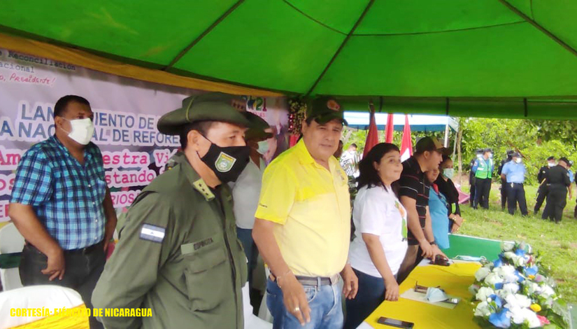reforestacion