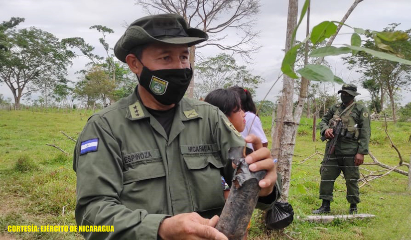 reforestacion