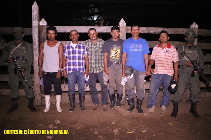 semovientes