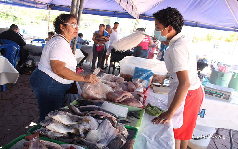 FERIA