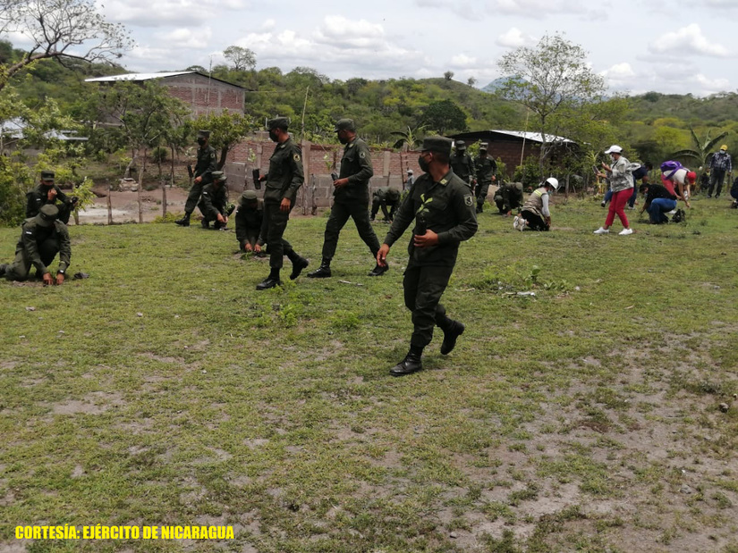 reforestacion