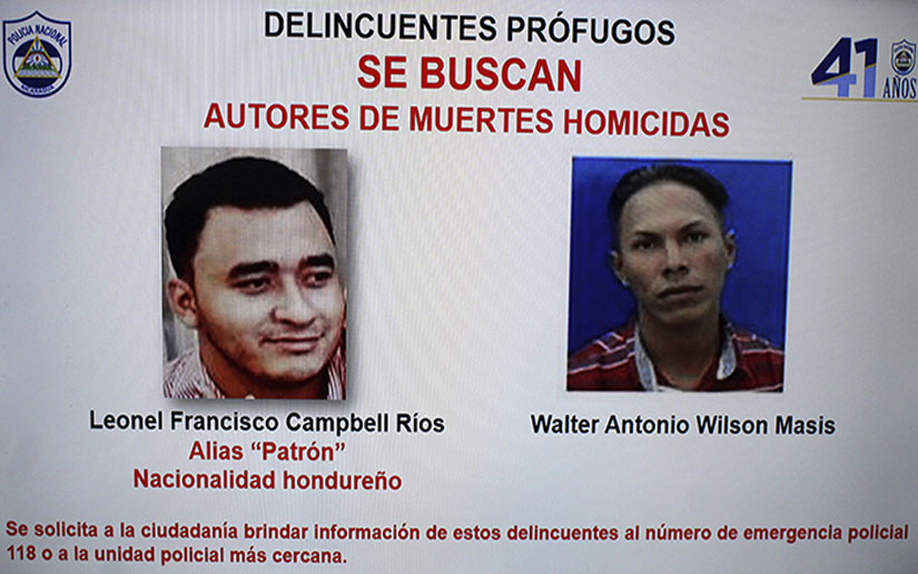 se-busca