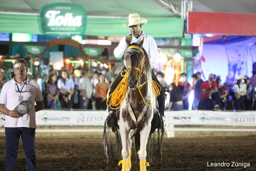 caballos