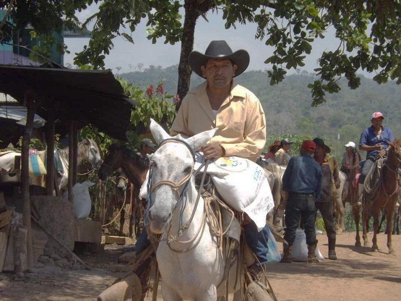 BONOS2