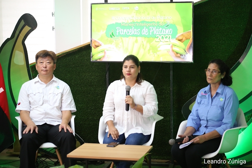 concurso-platano