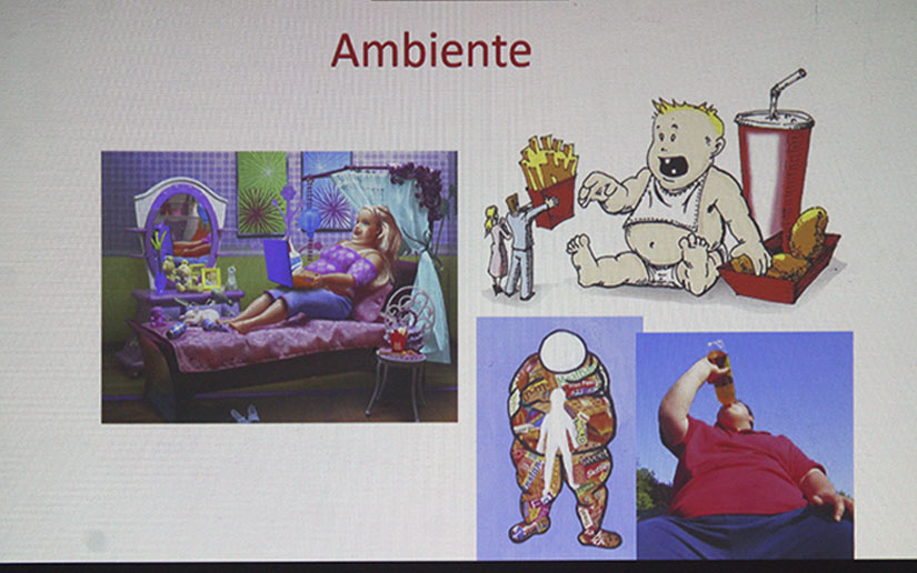 metabolismo