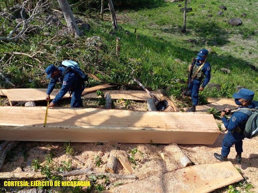 madera