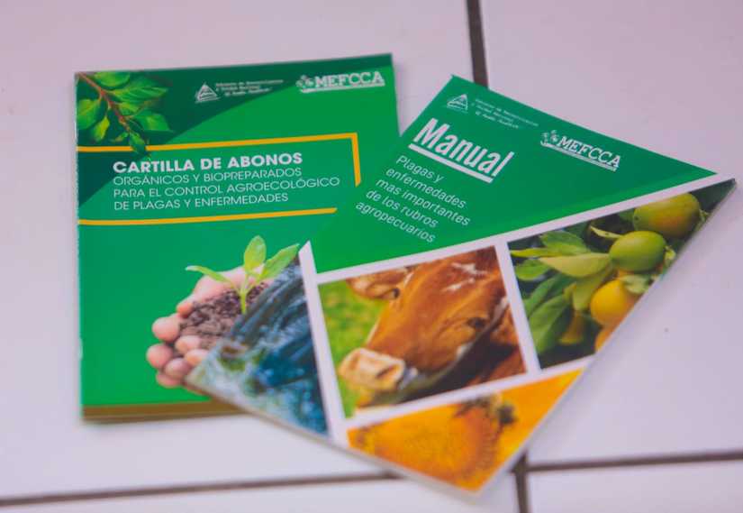 cartilla