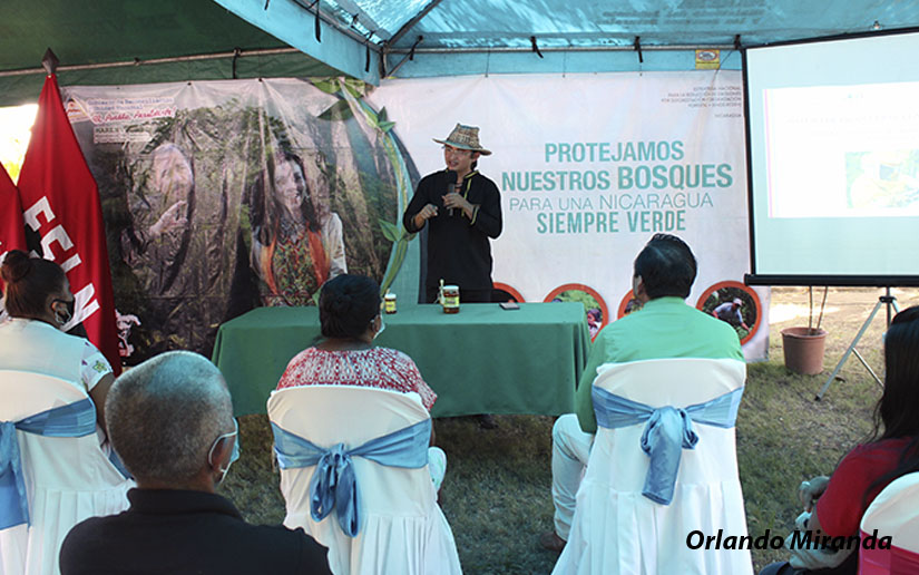 congreso-miel