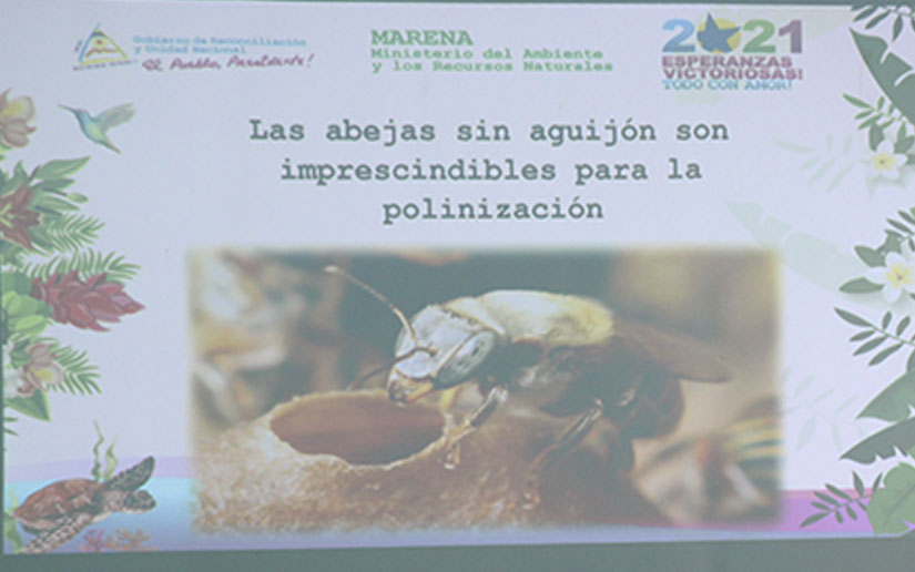 congreso-miel