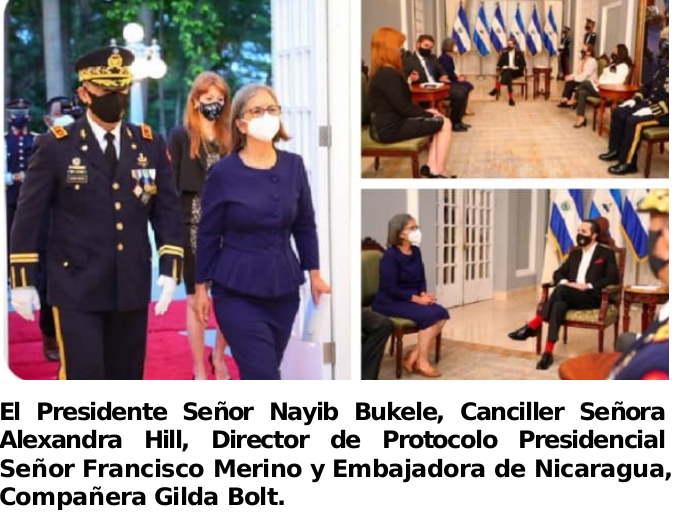 bukele