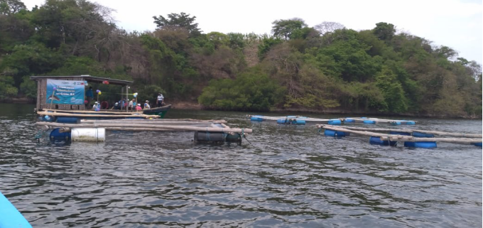 inpesca