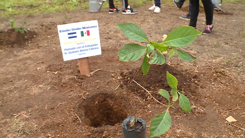 mexico
