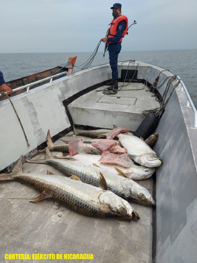 PESCADO