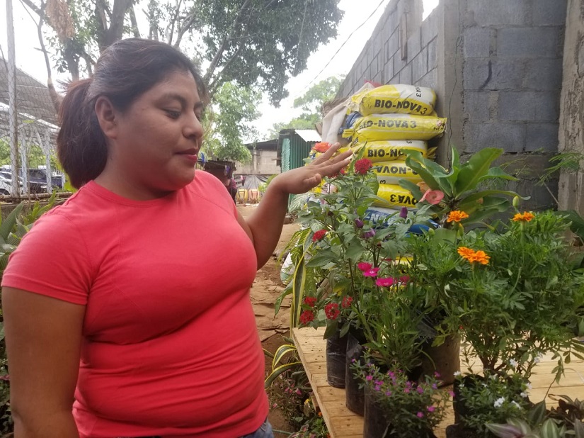 FLORES