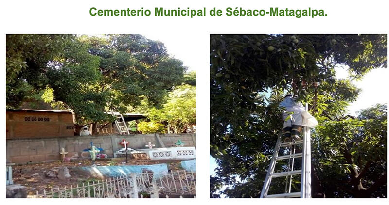 inspeccion-cementerios