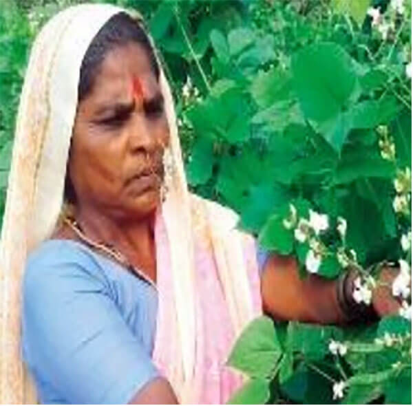 padma