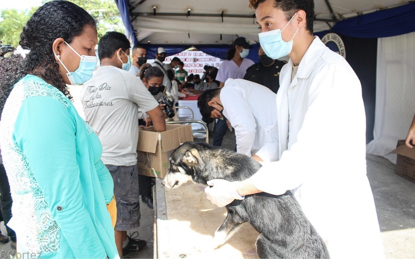 vacunacion