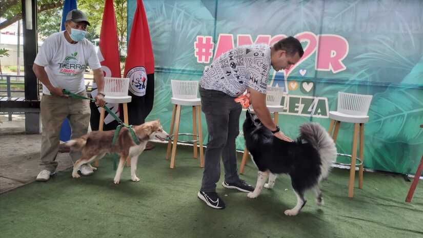 MASCOTA