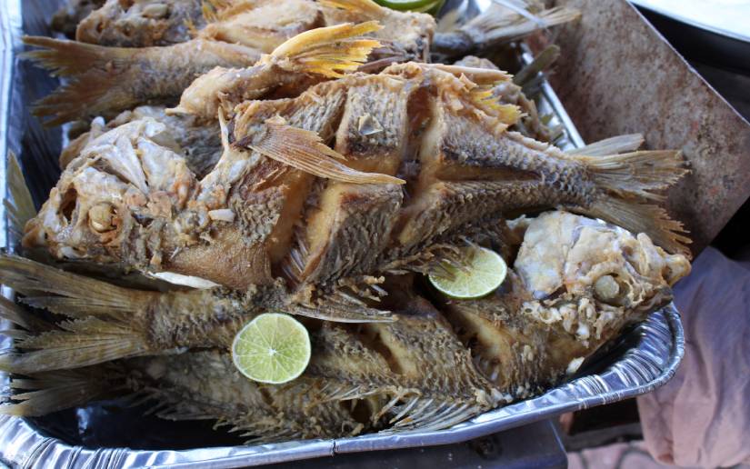 inpesca