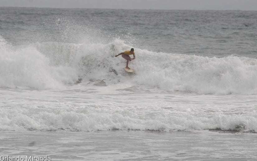 surf