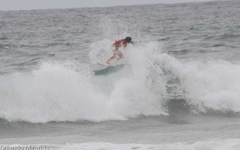 surf