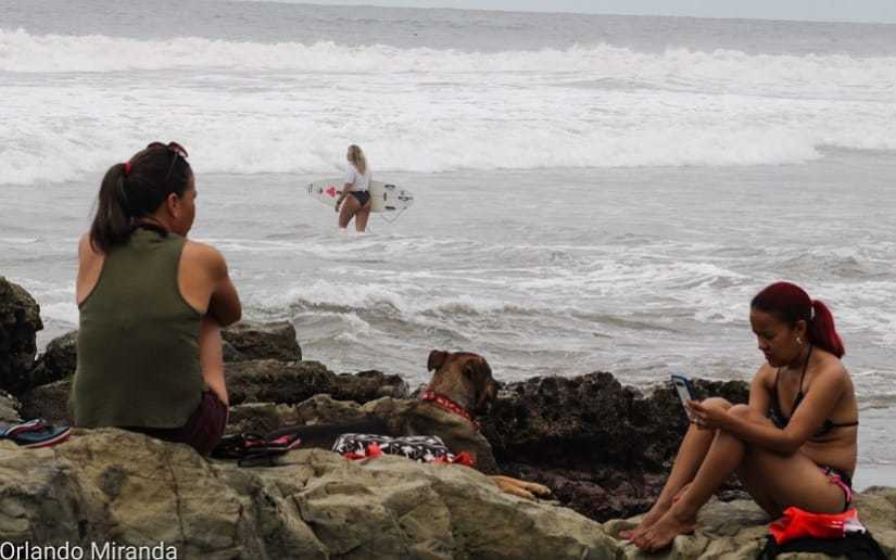 surf