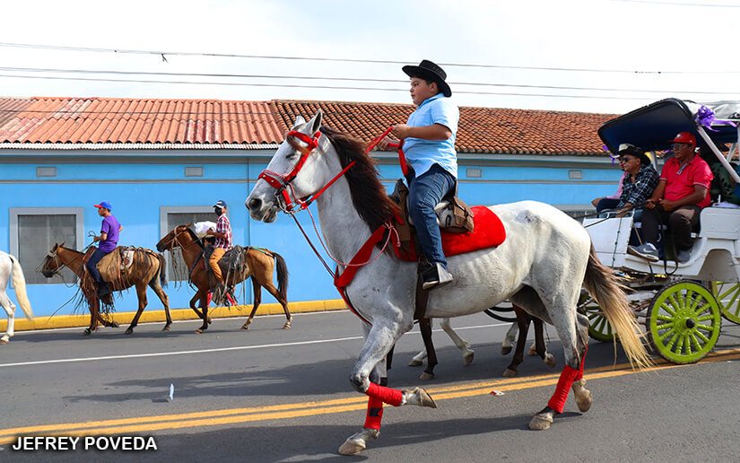 hipico
