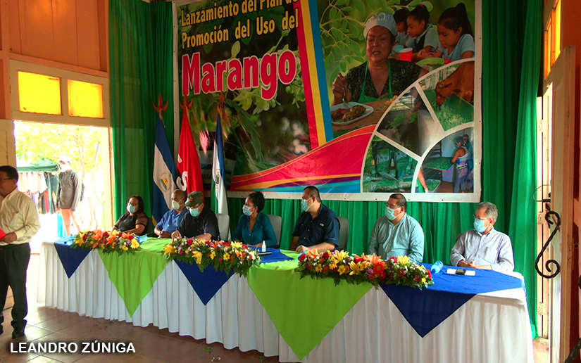 marango