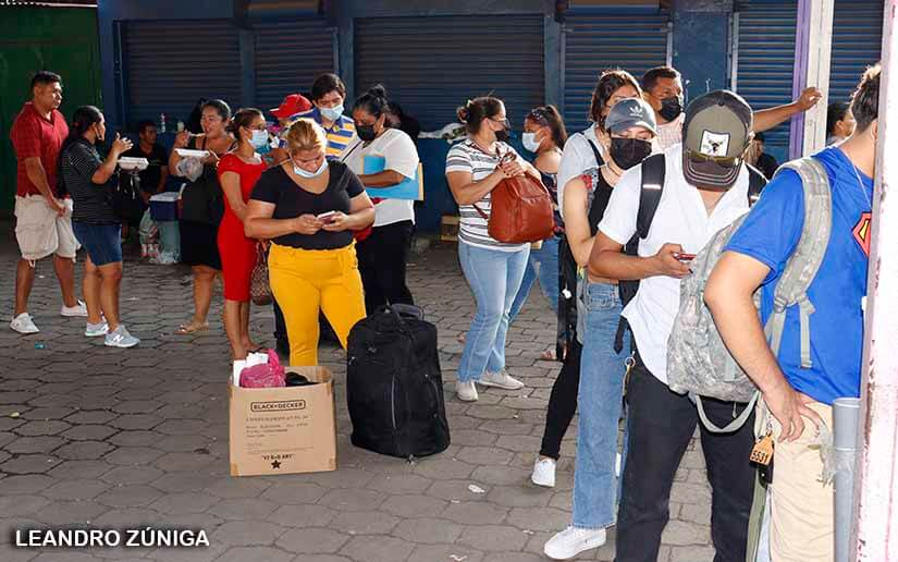 terminales-buses