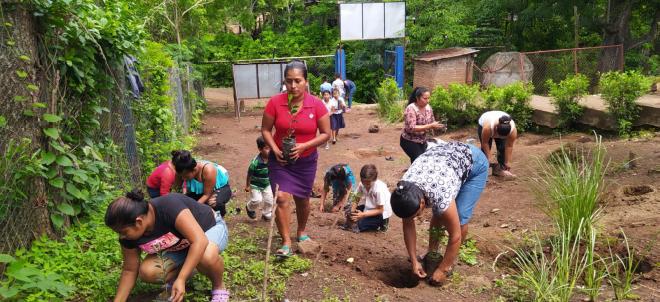 reforestacion