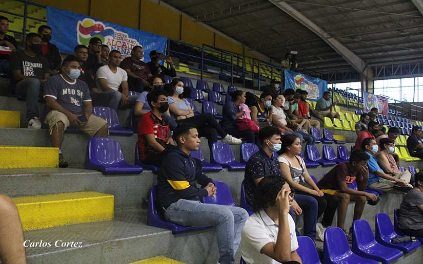 voleibol