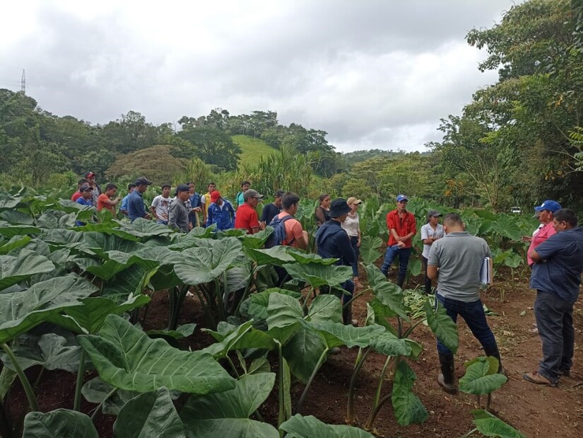 agro