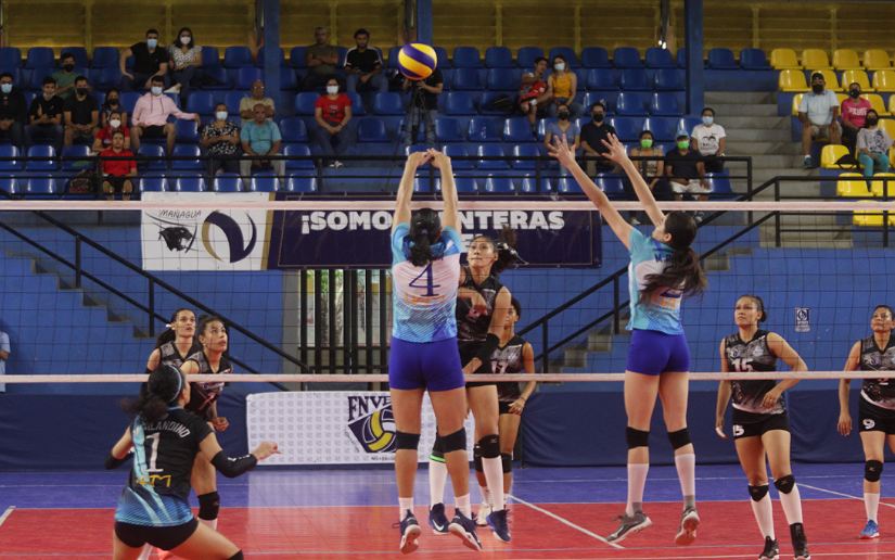 voleibol