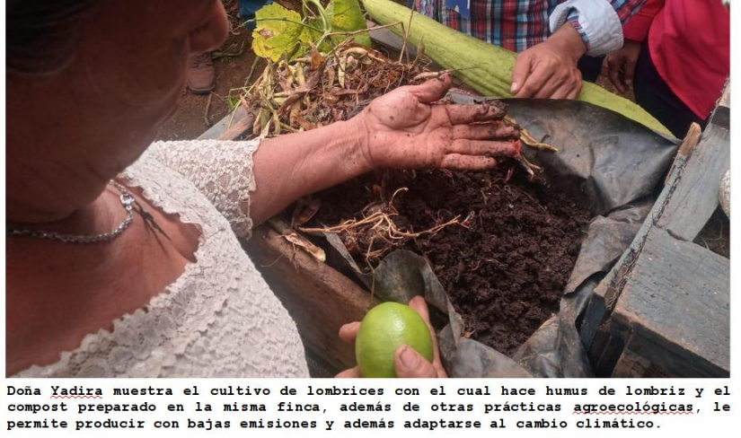 climatico