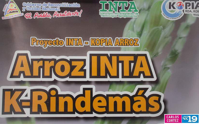 INTA