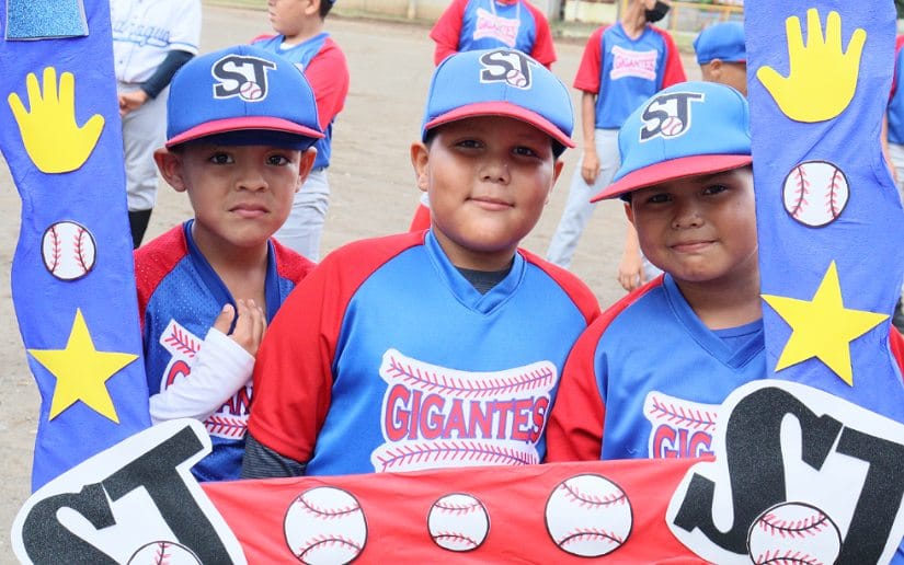 acadmia-beisbol