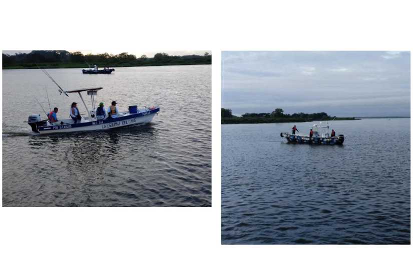 pesca