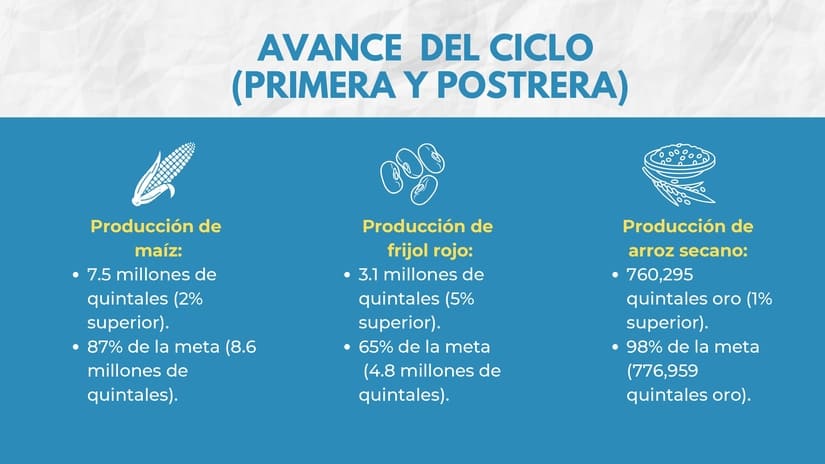 CONSECHA