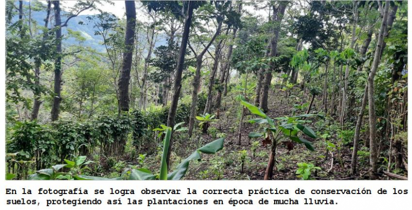 boaco
