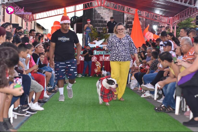MASCOTAS