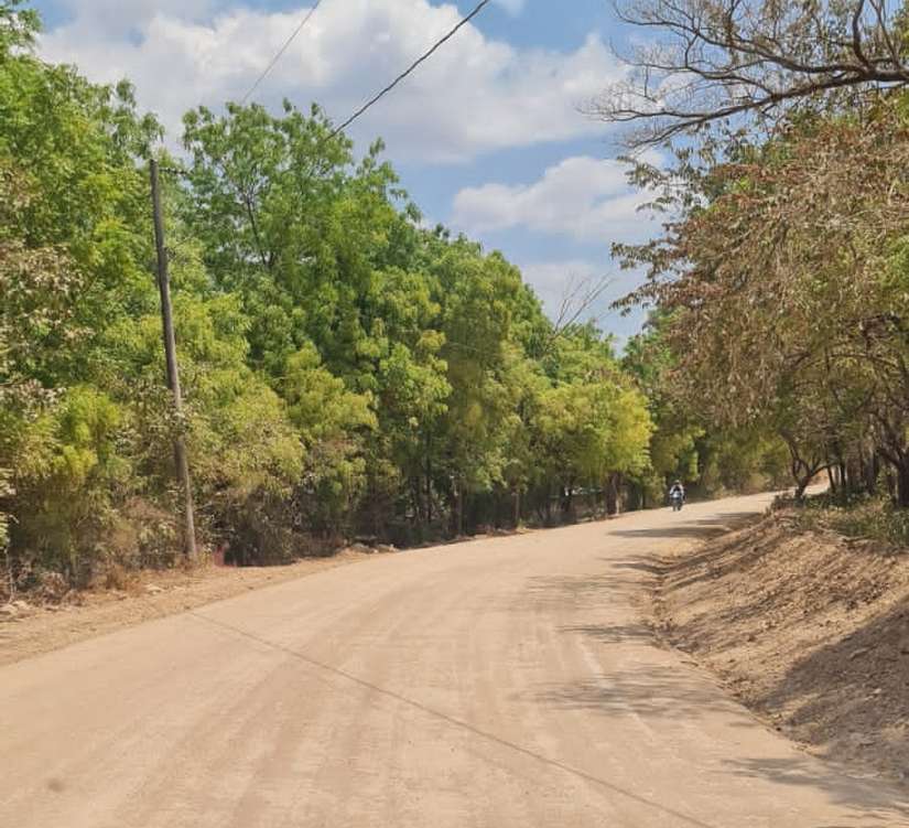 CAMINO