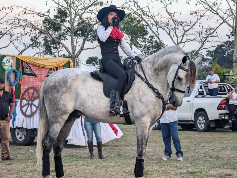 VAQUERO