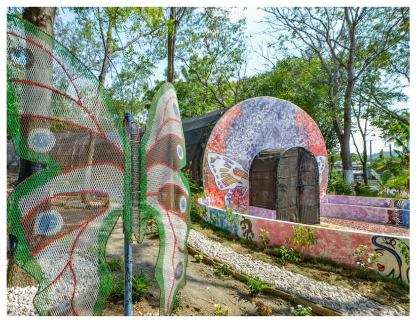 MARIPOSAS