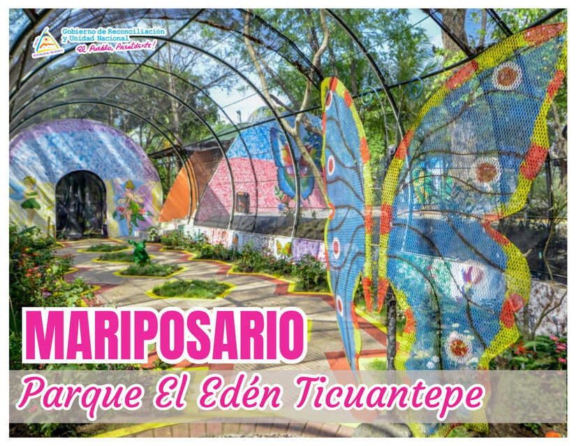 MARIPOSAS