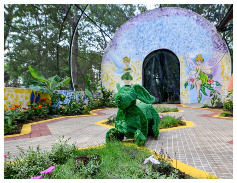 MARIPOSAS