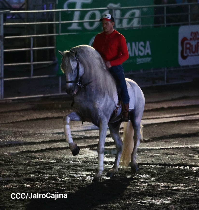 RODEO