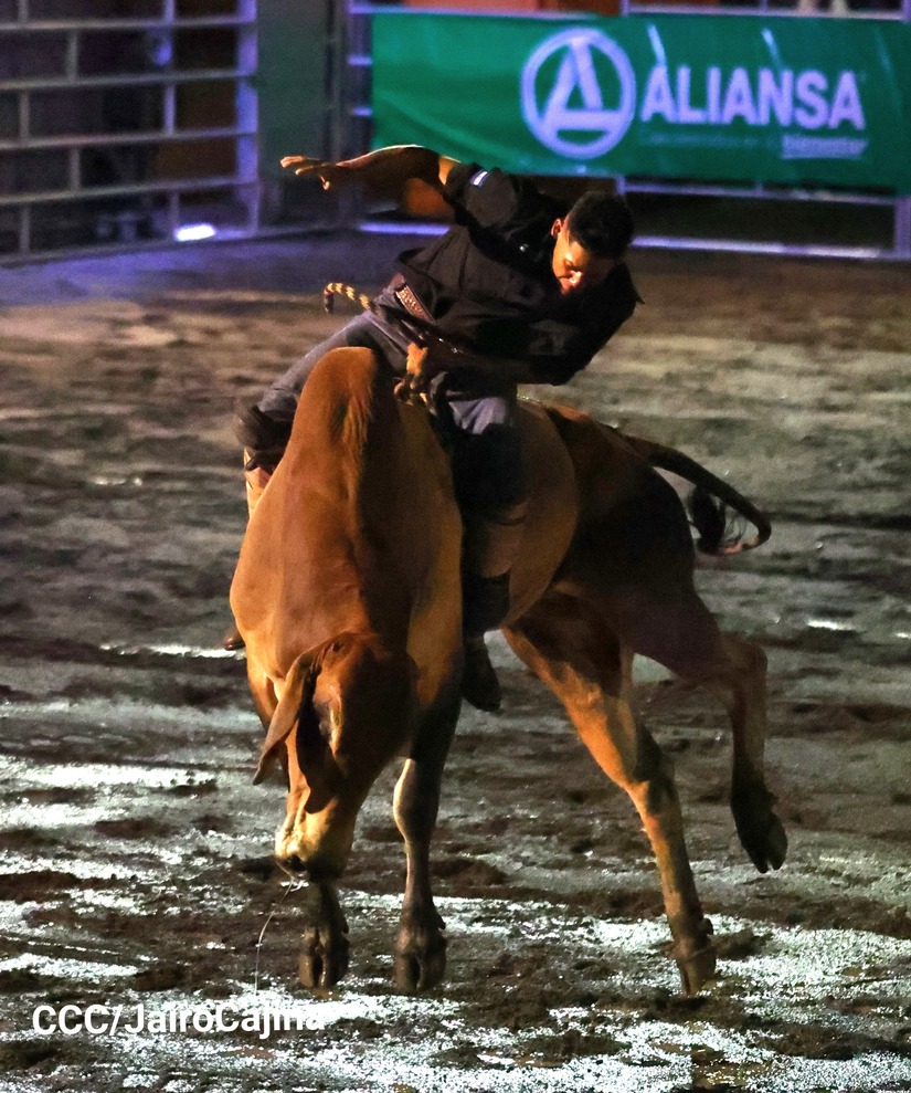 RODEO