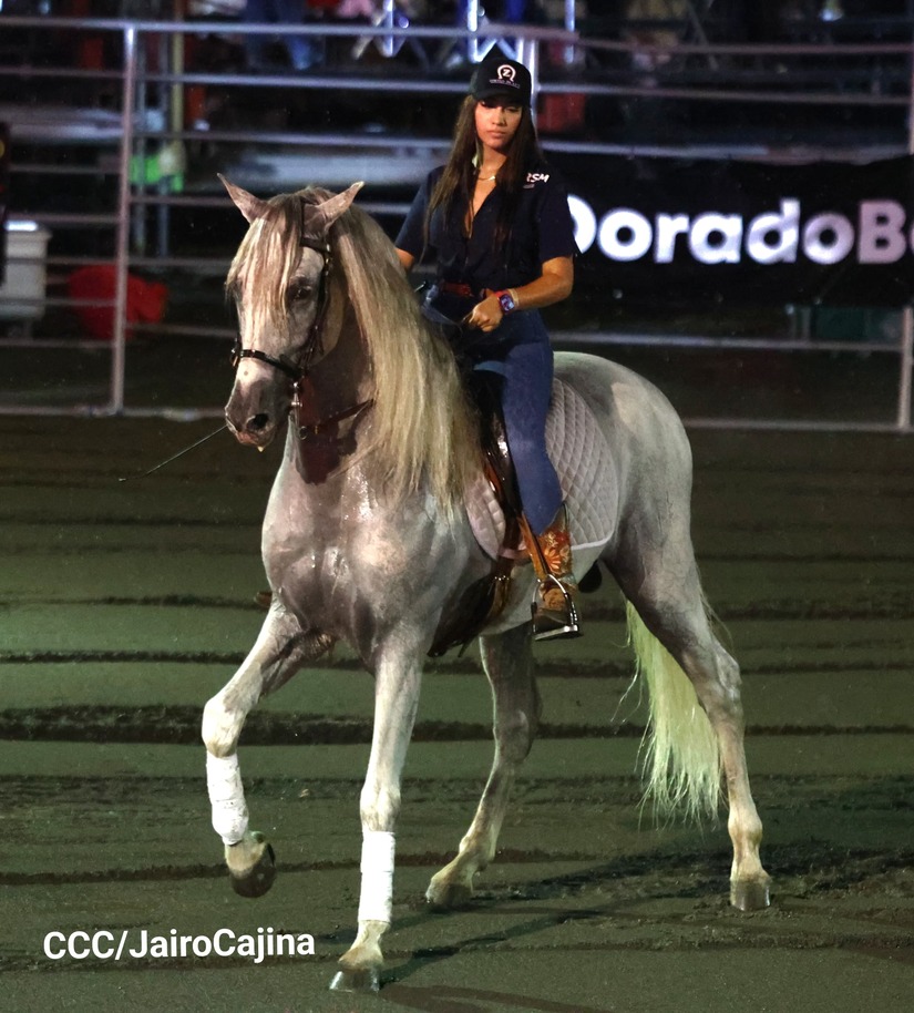 RODEO