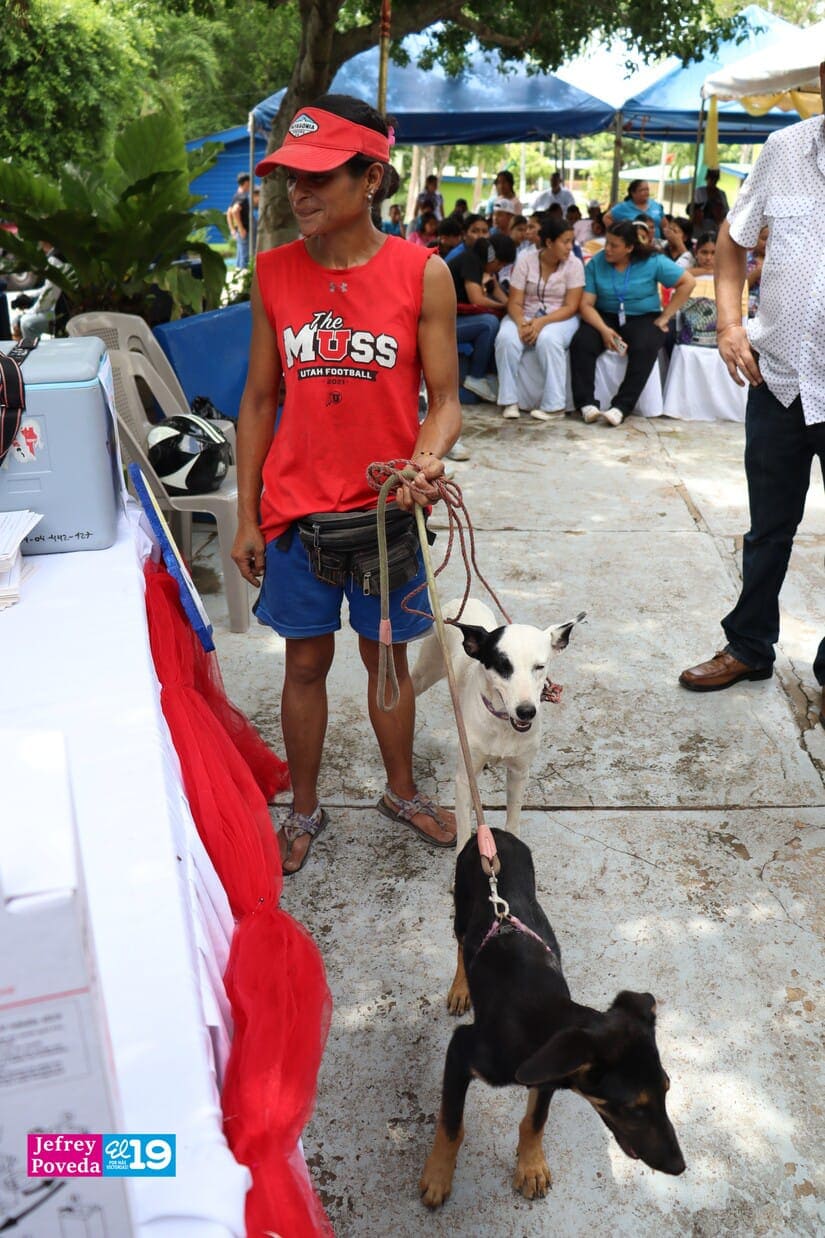 PERROS